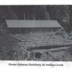 Hume Salmon Hatchery at Indian Creek
